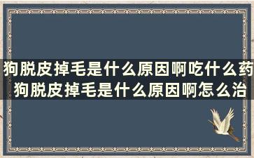 狗脱皮掉毛是什么原因啊吃什么药 狗脱皮掉毛是什么原因啊怎么治疗